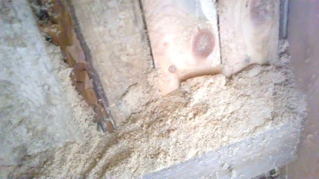 Утепление опилками 10 лет спустя утепление стружкой опилками смотреть онлайн