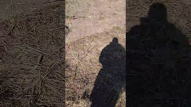 Разработка целины!!! Сезон 2019!!! смотреть онлайн