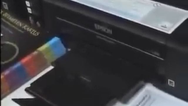 EPSON L300