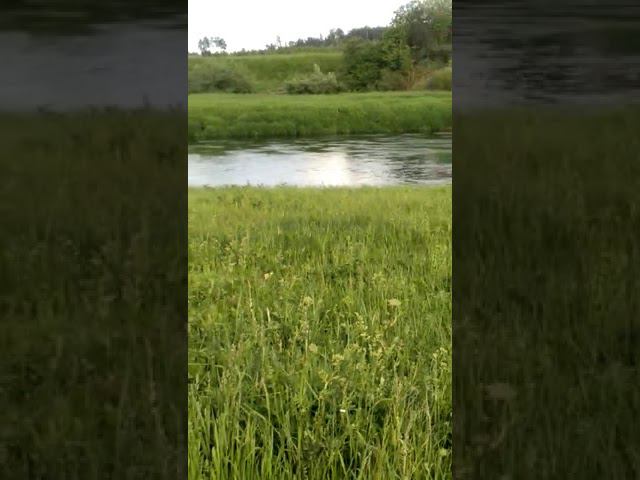 19 июня 2022 г. смотреть онлайн