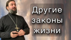 Проповедь в день памяти блаженной Матроны. Протоиерей  Андрей Ткачёв.