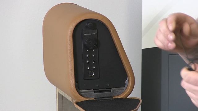 The Headrest Safe For Your Vehicle FAQs смотреть онлайн