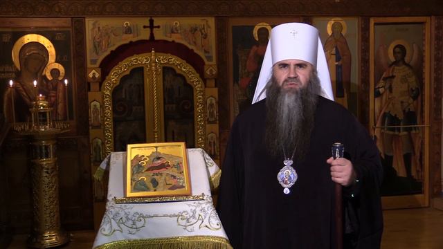 Владыка Георгий поздравляет с Рождеством Христовым смотреть онлайн
