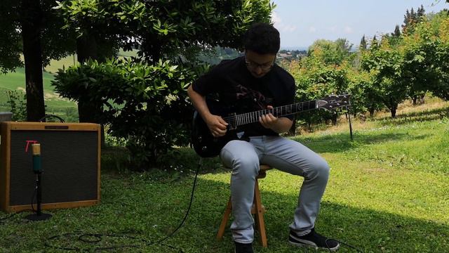 Daniel Guitars - Aluminium PRS Replica Guitar смотреть онлайн