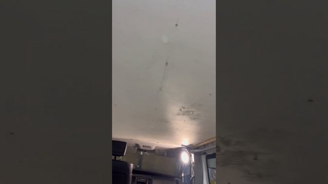 24 ноября 2023 г. смотреть онлайн