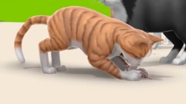 Este simulador de GATO se PUSO RARO ? смотреть онлайн