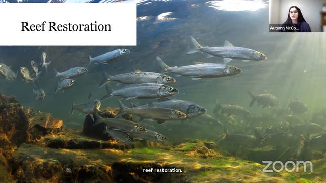Autumn McGowan - The Nature Conservancy: Reefs in the Great Lakes смотреть онлайн
