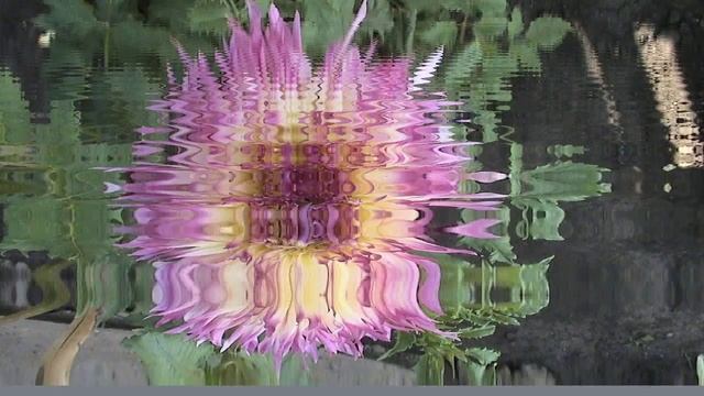 ФУТАЖИ-ВИДЕОЭФФЕКТЫ-ВИДЕОМОНТАЖ-ФОНЫ - смотреть онлайн