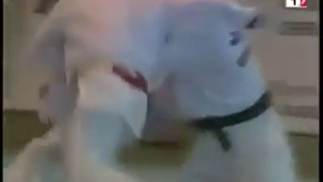 Judo - разновидность броска упор стопы в живот смотреть онлайн