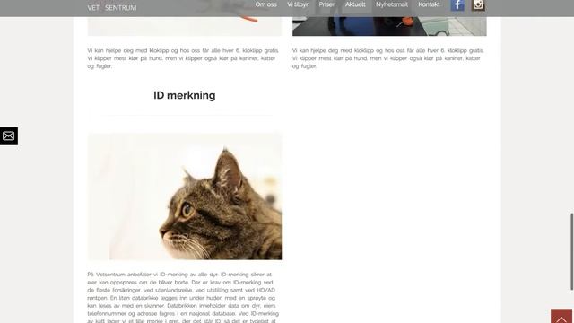 Создание сайта для норвежской ветеринарной клиники смотреть онлайн