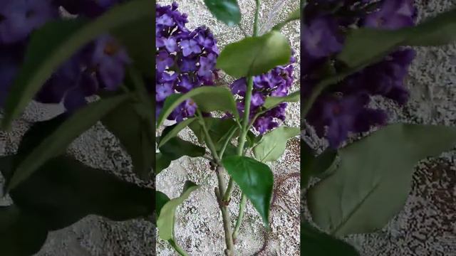 Сирень из холодного фарфора смотреть онлайн