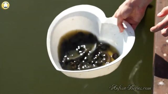 Поездка в тайскую деревню к Доту. 500 летний храм. 9 смотреть онлайн