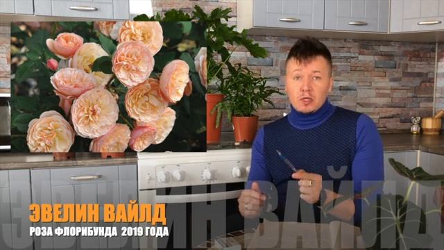 ПРОСТО ПУШКА! КУЛИНАРНАЯ СЕРИЯ РОЗ. РОЗЫ, КОТОРЫЕ МОЖНО ЕСТЬ. ВОСЕМЬ САМЫХ ВКУСНЫХ. МОИ РОЗЫ ХОТЕЛК смотреть онлайн