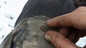 Двухдневный Лесной Коп с Ванквиш 540