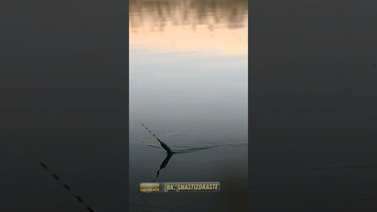 Поплавок! Весна! Караси! #снастиздрасьте #синяя #рыбалка смотреть онлайн
