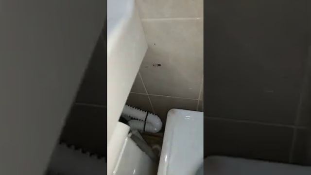 Раковина над стиральной машиной 60/60 квадрат смотреть онлайн