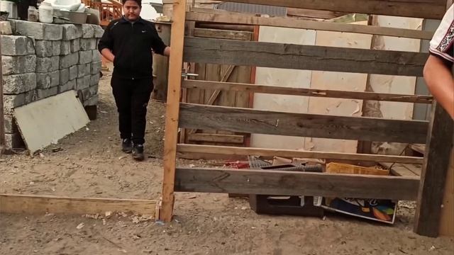 Наши страусы, страусы в Якутии