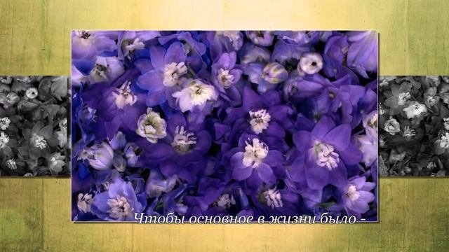 ★Поздравление★ - Теплое поздравление для подруги с днем рождения.Музыкальная видео открытка смотреть онлайн