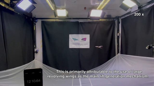 A Bioinspired Revolving-Wing Drone with Passive Attitude Stability and Efficient Hovering Flight смотреть онлайн