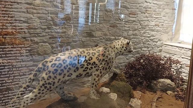 История и культура Турции. Культурный центр в Кушадасы. смотреть онлайн