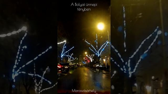 A Bolyai ünnepi fényben #transylvania #erdély #marosvásárhely смотреть онлайн