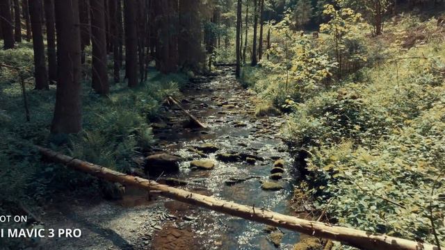 Die BESTE Einsteiger Drohne? Kommt drauf an… DJI MINI 3 Review смотреть онлайн