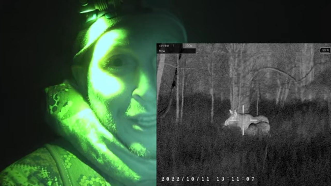 Охота на бобра #22 castor fiber \ Ждал бобра, вышли лоси смотреть онлайн