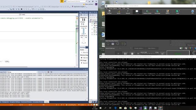 Controlling the Python group with Selenium and C# смотреть онлайн