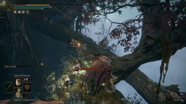Elden Ring Guide: Envoy's Greathorn Location in Haligtree смотреть онлайн