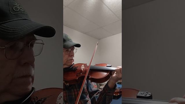 Turkey In The Straw GEWA Fiddle