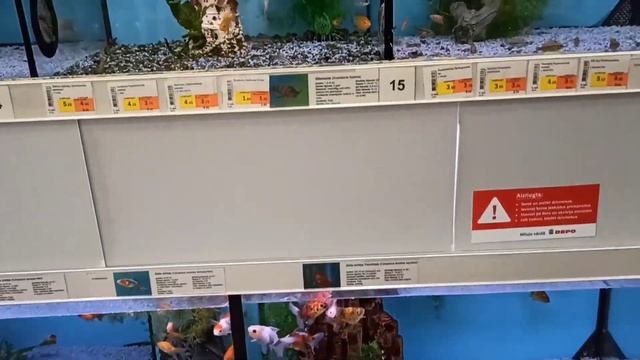 Латвия / Магазины Maxima Depo Покупки Цены / Ruta Vlog / Рига @HozajushkaRuta @RutaLutkevica