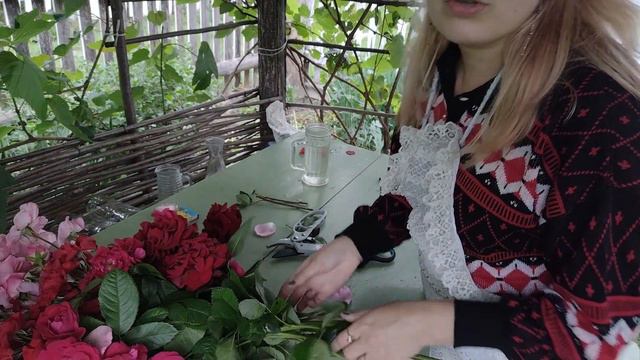 100% результат укорінення троянд та хризантем живцюванням. Розмножуйте троянди правильно. смотреть онлайн