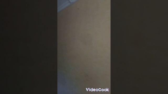 презентация детского клуба. часть 1