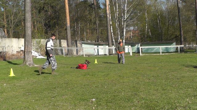 Чемпионат Московской области 2016 г. по ОКД и ЗКС. смотреть онлайн