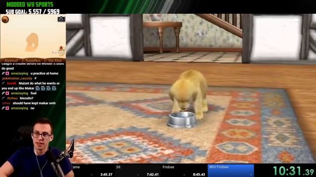 I accidentally got a world record playing Nintendogs смотреть онлайн