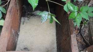 Чистка Выгребной Ямы Туалета Женскими Руками