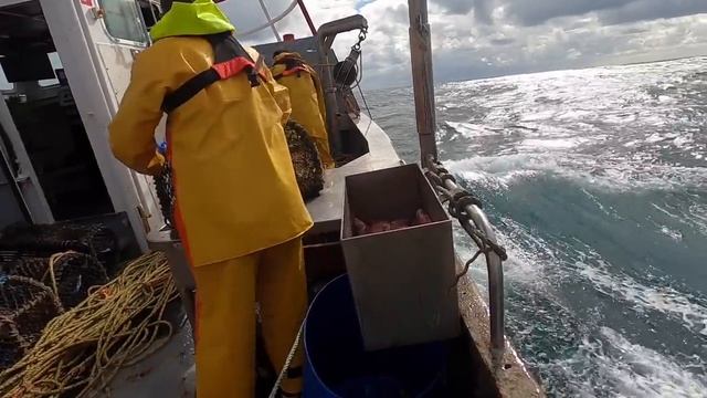 COMMERCIAL CRAB & LOBSTER POTTING - Giant Crabs ,Lobster & Octopus! Rough Seas смотреть онлайн