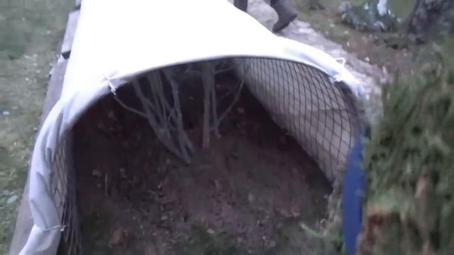 Розы.Хвойные.Все укрыли.К морозам готовы !И тест-обзор ИРРИГАТОРА смотреть онлайн