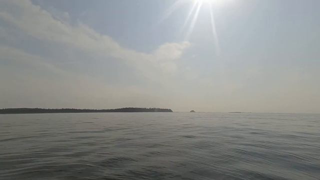 Whale watching - Tofino, BC, Canada. смотреть онлайн