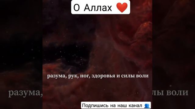 Учитесь делать правильно Дуа. смотреть онлайн