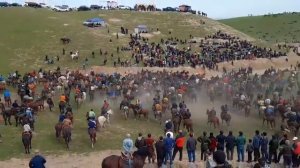 Бузкаши дар нохияи Дангара.25.03.2022с 12мошина