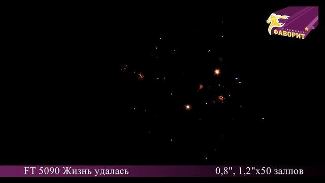 Батарея салютов 'Жизнь удалась' FT 5090 смотреть онлайн