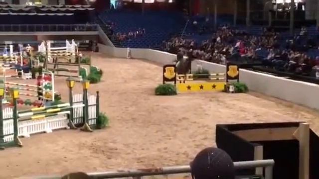 Chagall Cornett Arctic Equestrian Games 2016 смотреть онлайн