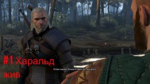 Ведьмак 3   Дух леса. Как поступить?