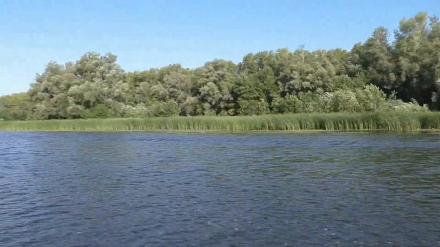 Выход на Волгу. Река Татьянка, протока Сухая Самарка. Остров Коровий смотреть онлайн