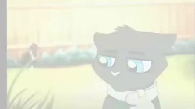 коты воители бич 😔❤ смотреть онлайн