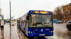 Автобус 103