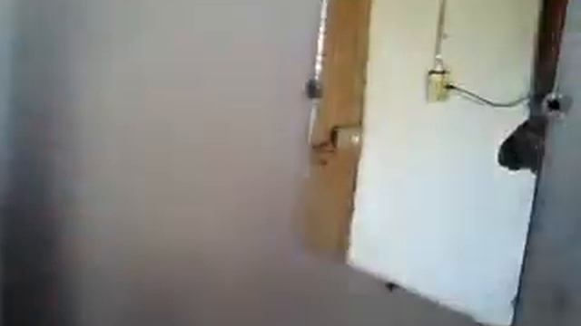 LA PELUQUERA DEL CERRO DE LA CRUZ TANTOYUCA смотреть онлайн