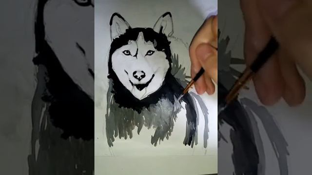 Хаски (гуашь) смотреть онлайн