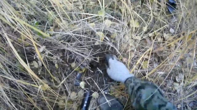 Отличный осенний Коп Металла и интересные находки. смотреть онлайн